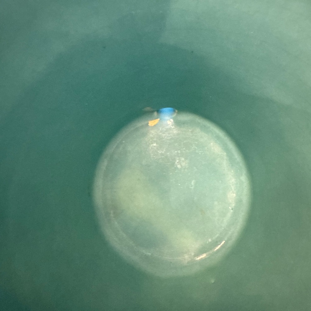 Vintage Turquoise Ceramic Planter with Saucer Botttom - Picture 7 of 9